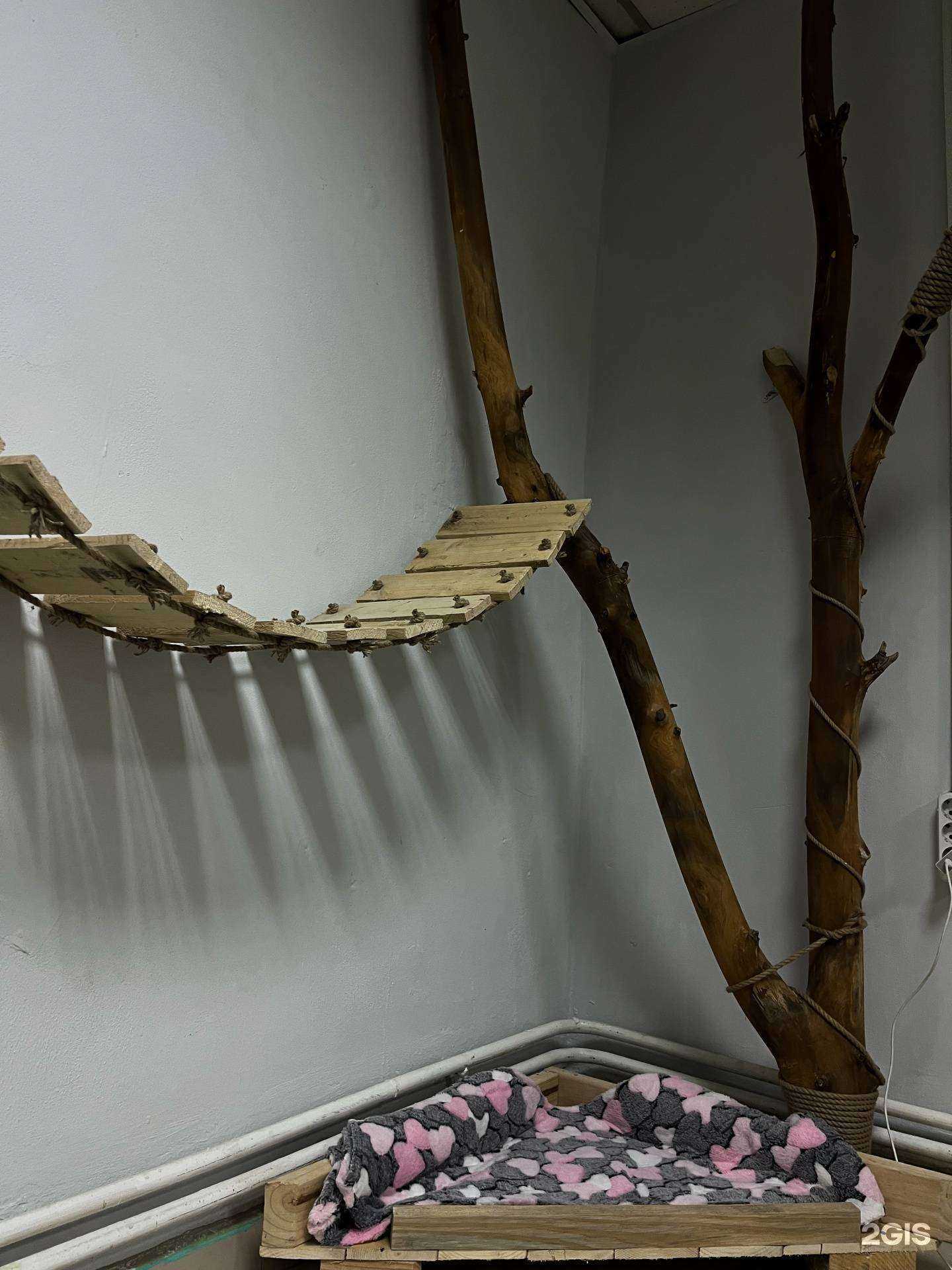 Отзывы на компанию Много Лапок в г. Красноярск c фото