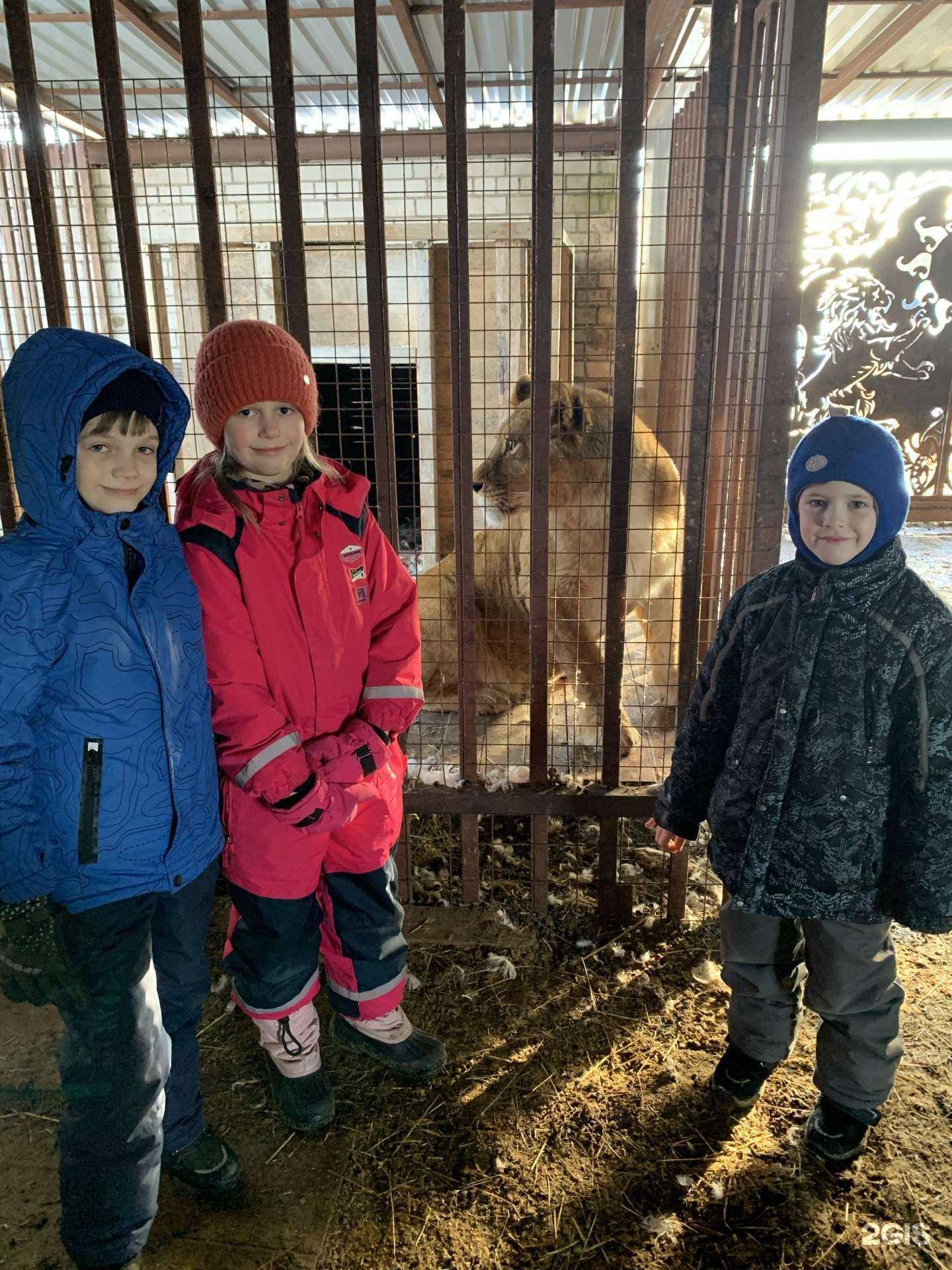 Отзывы на компанию Лада сервис в Кирове c фото - фотография 2 из 2