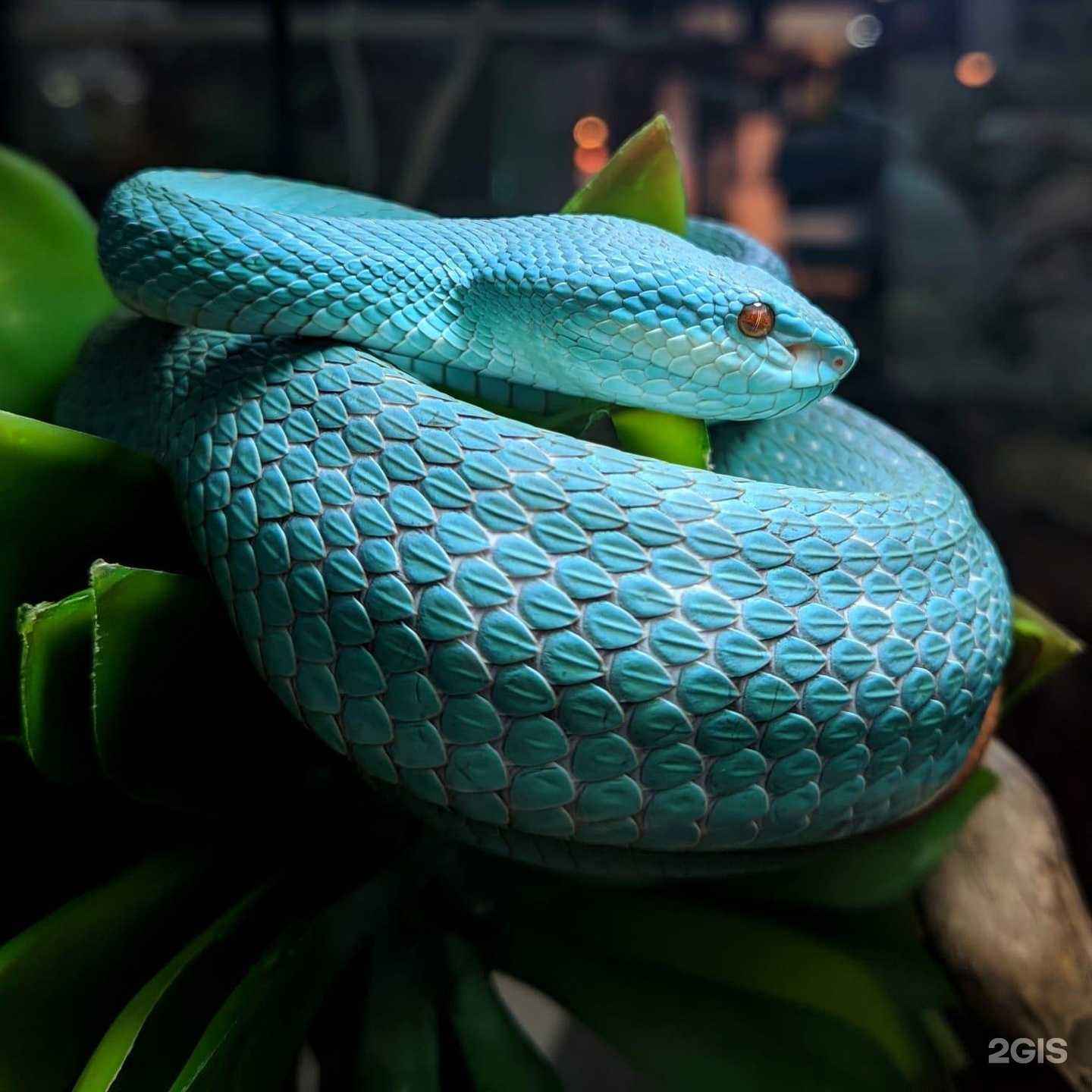 Отзывы на компанию Другой мир в г. Владивосток c фото