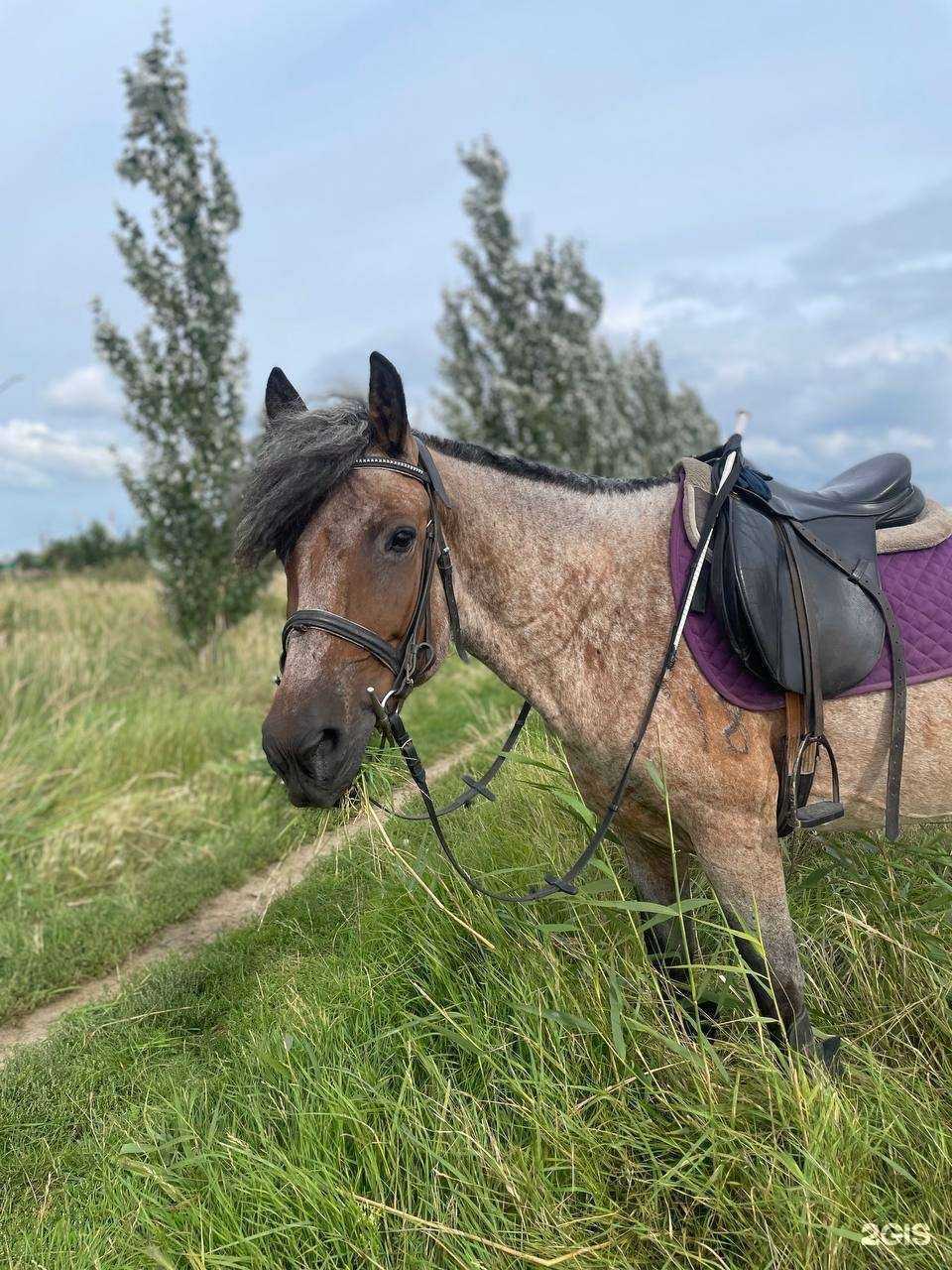 Отзывы на компанию Заозерный в г. Курган c фото