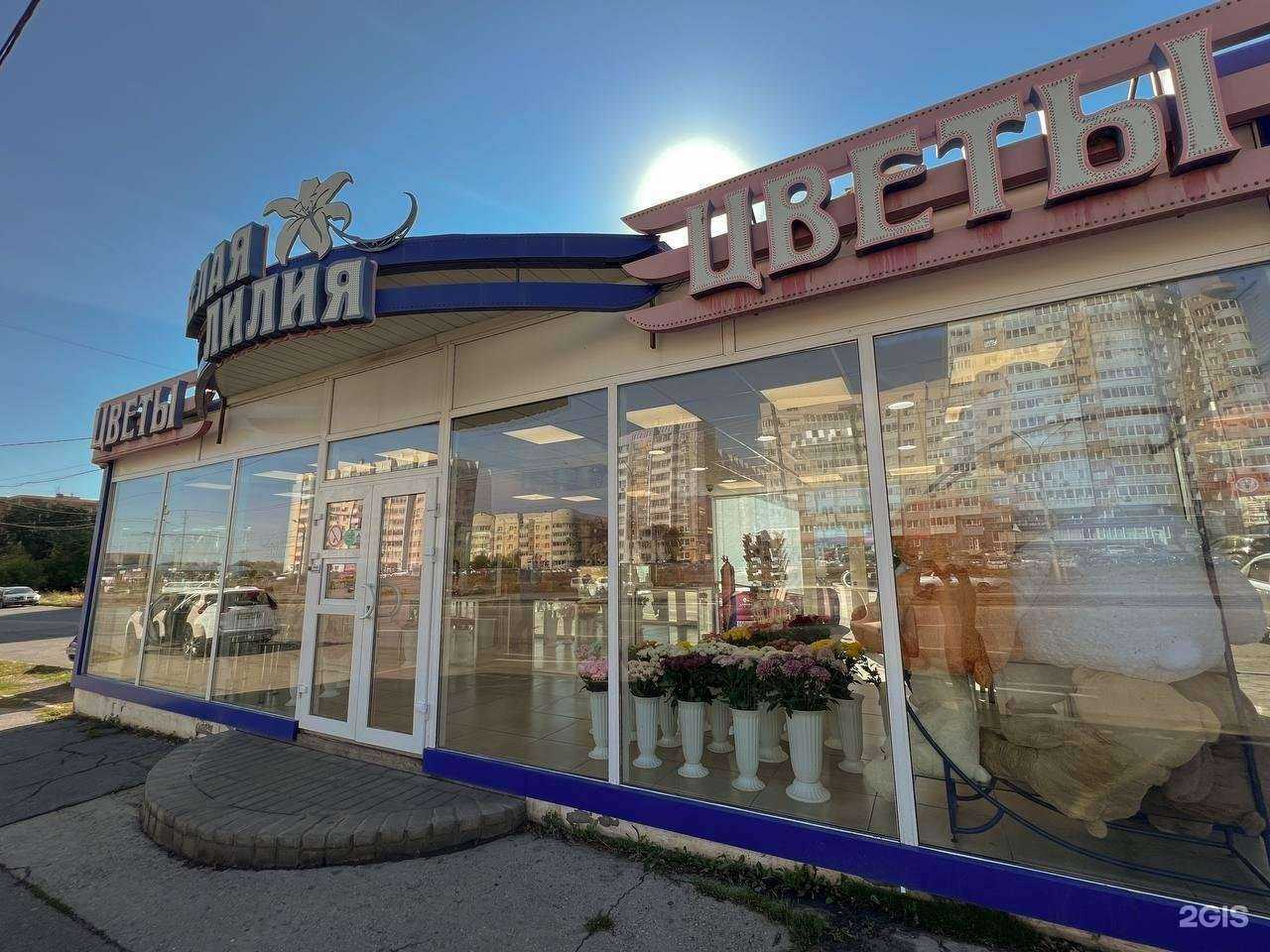 Отзывы на компанию Белая лилия в г. Магнитогорск c фото