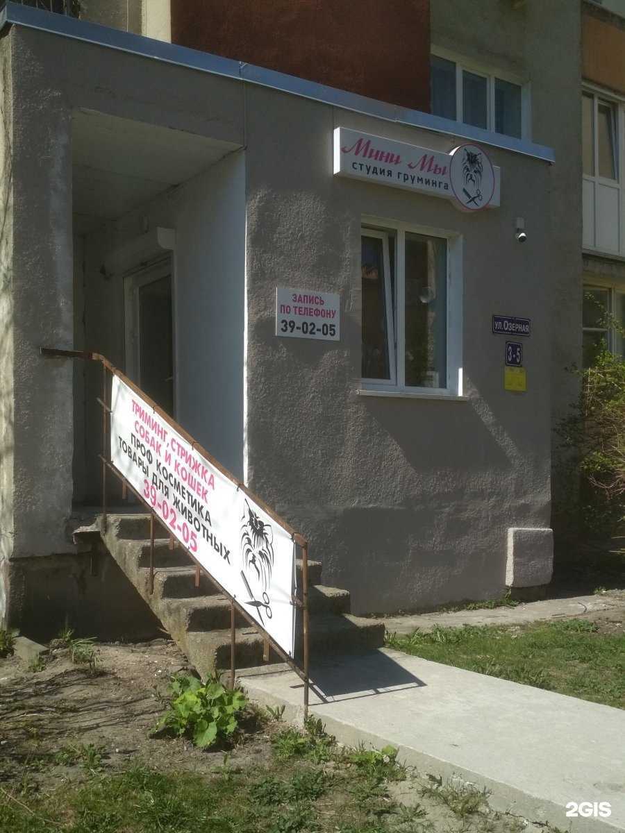 Отзывы на компанию Минимы в Калининграде c фото