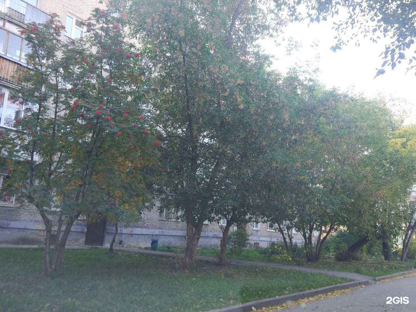 Отзывы на компанию Стулья для дома и офиса в Новосибирске c фото - фотография 2 из 2