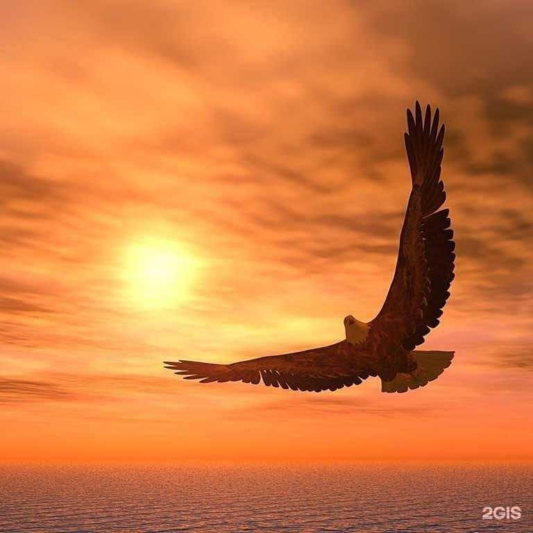 Отзывы на компанию Премиум-Авто в г. Оренбург c фото