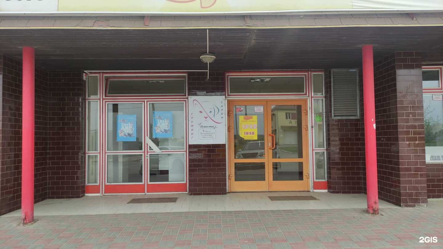 Отзывы на компанию Пушистик в г. Камышин c фото