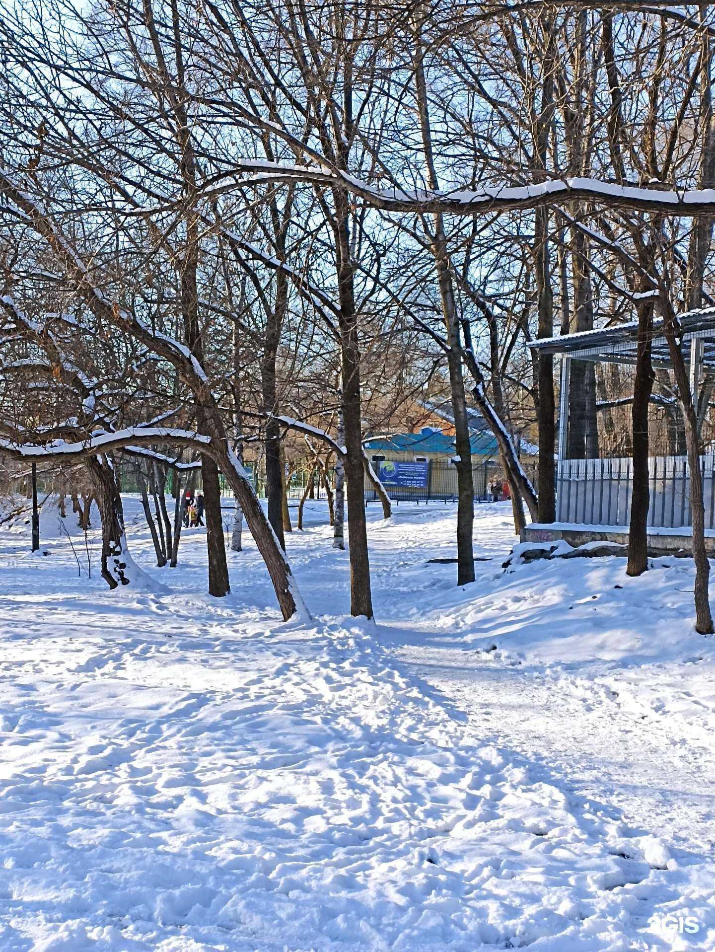 Отзывы на компанию ДЮСШ по теннису в Хабаровске c фото - фотография 2 из 2