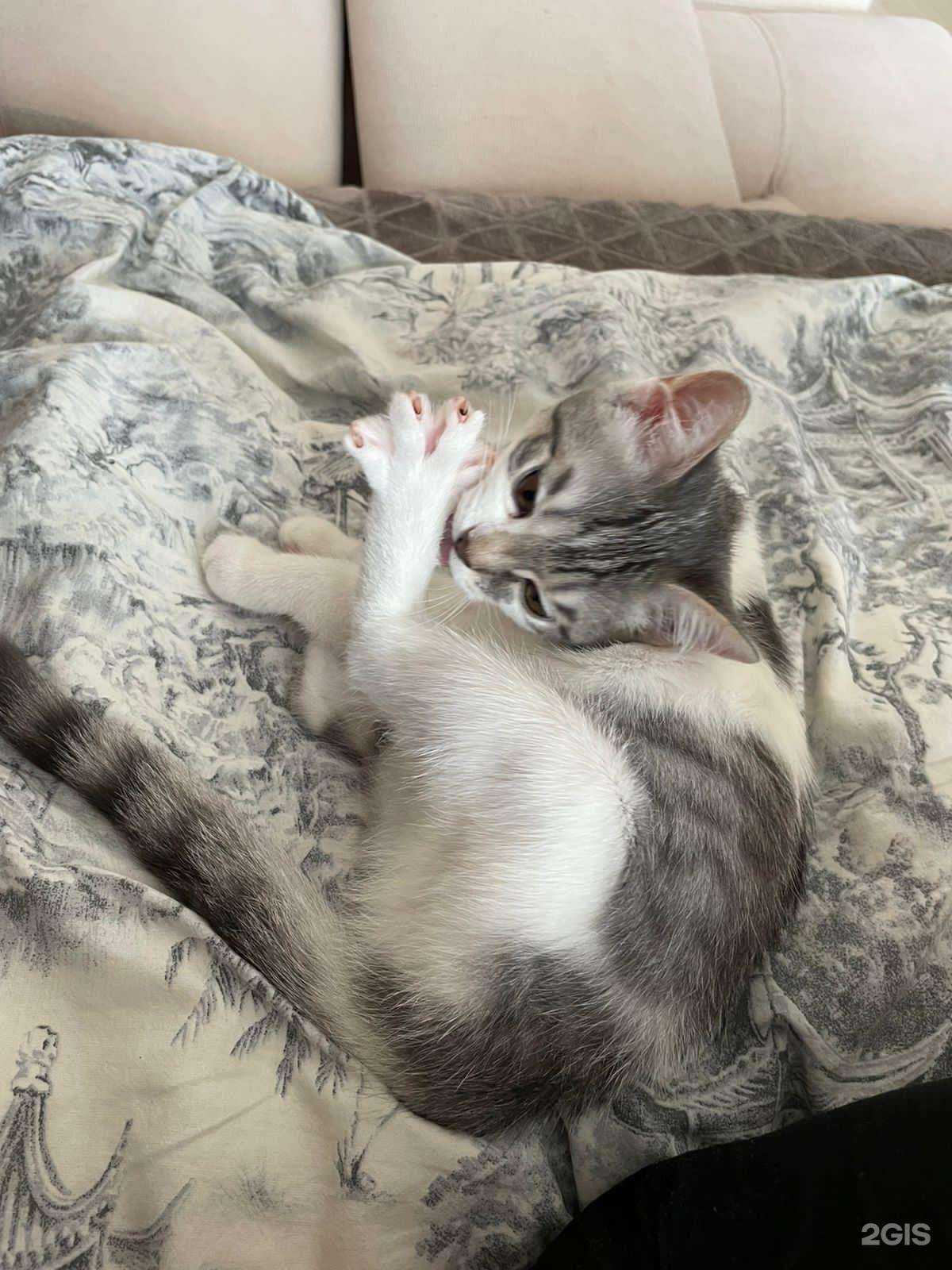 Отзывы на компанию Эдем в Новокузнецке c фото