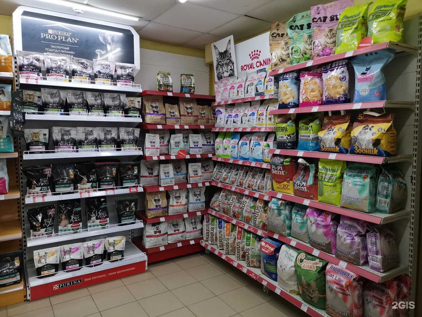 Отзывы на компанию Зверополис в г. Смоленск c фото