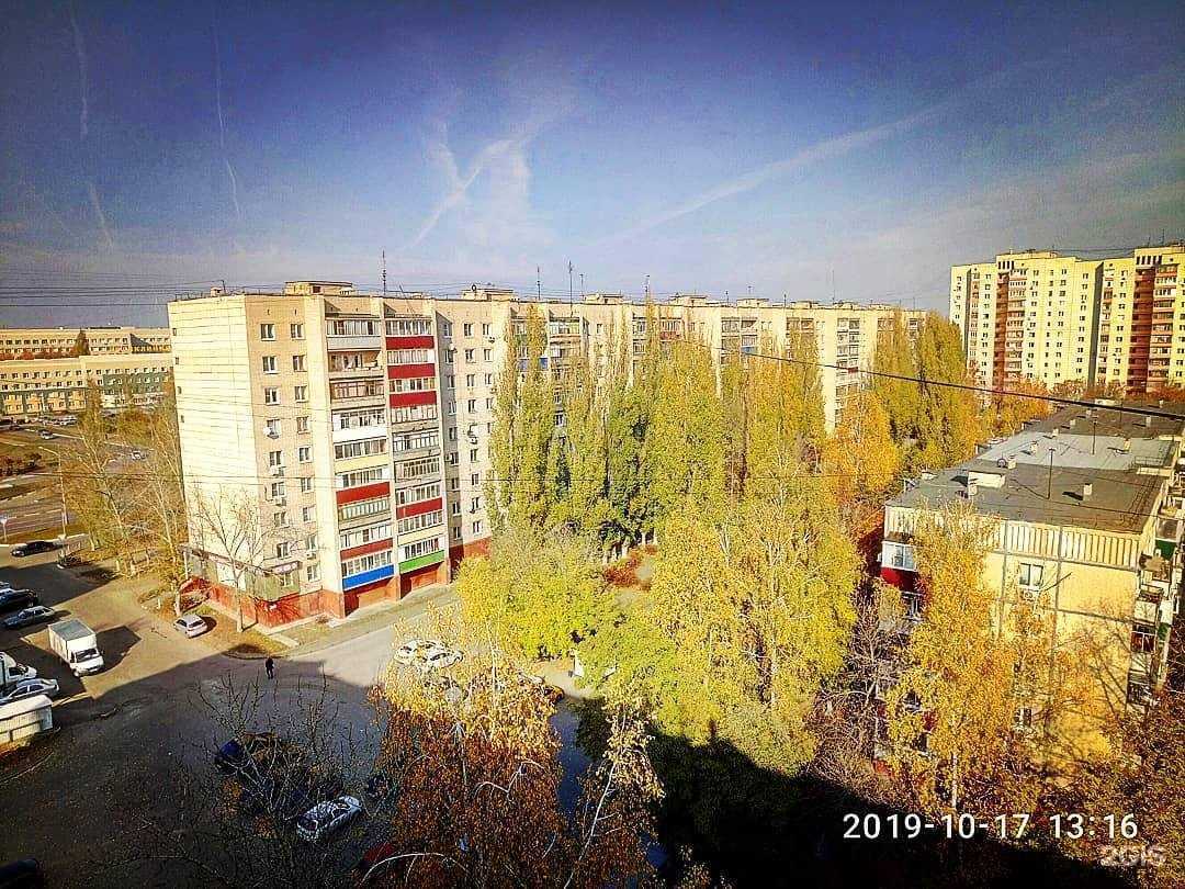 Отзывы на компанию Экоптица в Липецке c фото - фотография 2 из 2