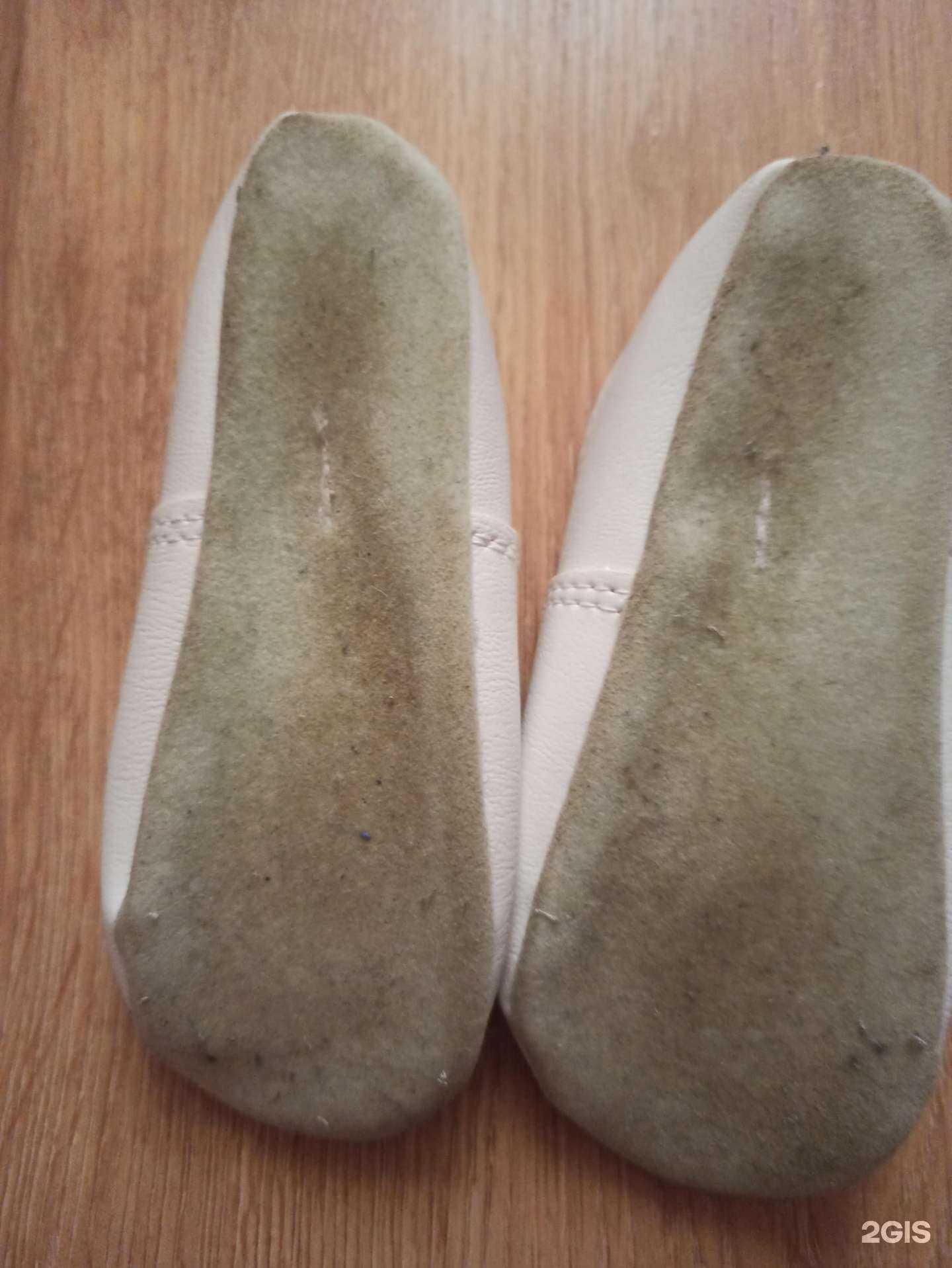 Отзывы на компанию Магистр в Смоленске c фото