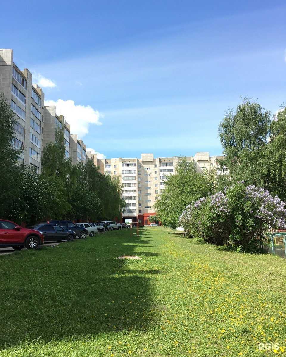 Отзывы на компанию Пушистые лапки в Набережных Челнах c фото - фотография 2 из 2