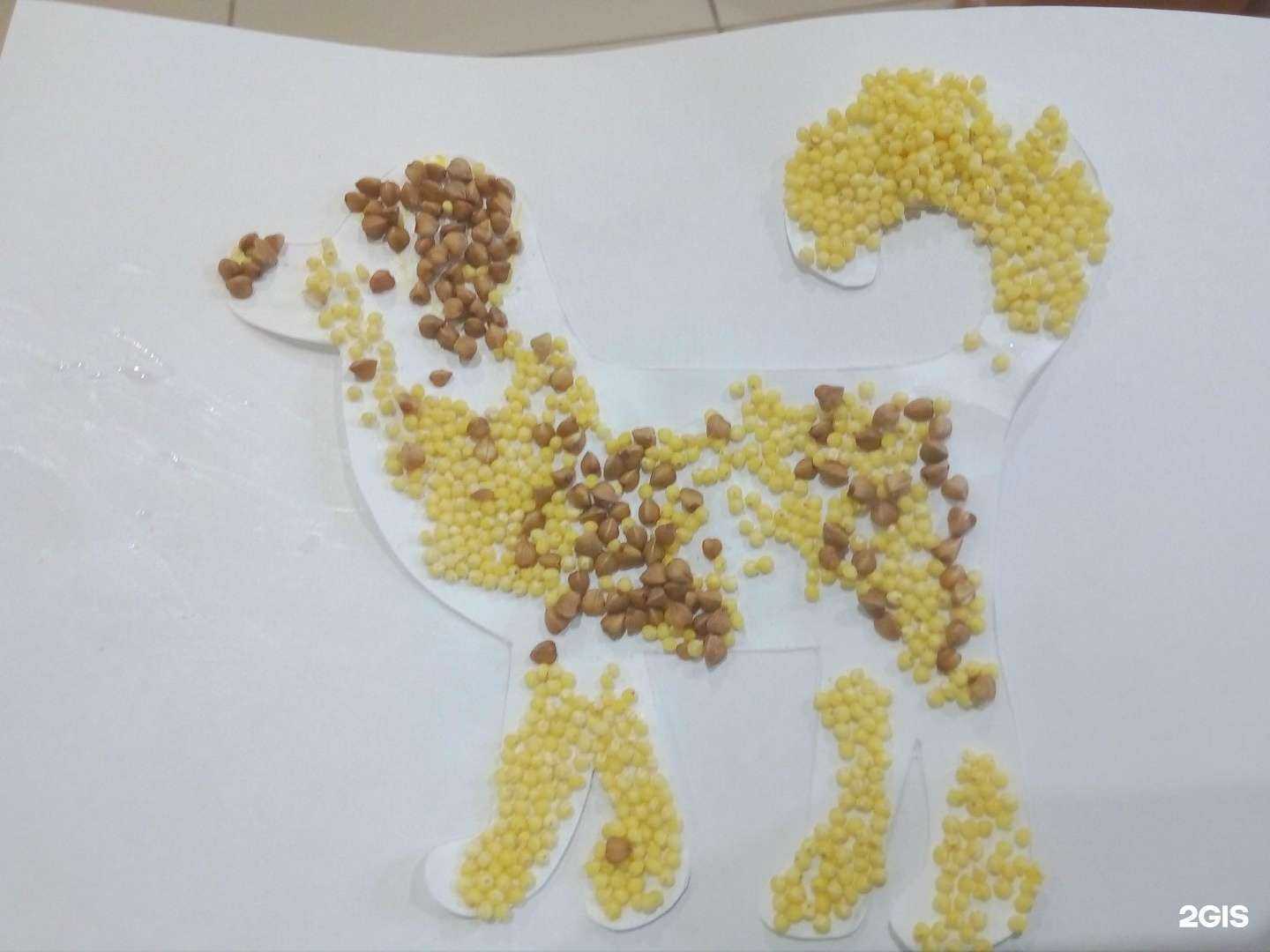 Отзывы на компанию Триумф в Новосибирске c фото