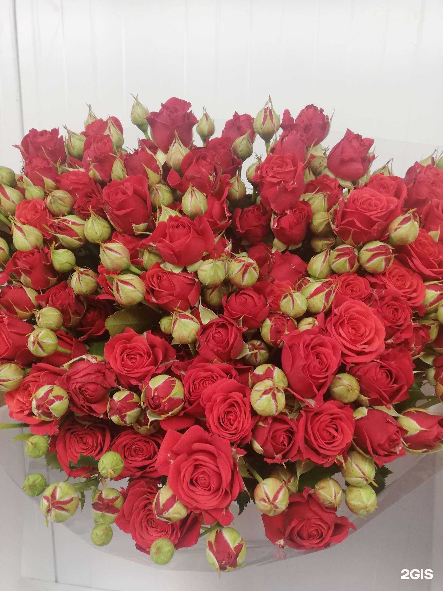 Отзывы на компанию Флорида в г. Курск c фото