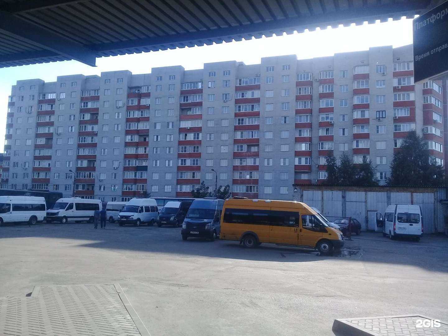 Отзывы на компанию Камелия+ в Курске c фото - фотография 2 из 2