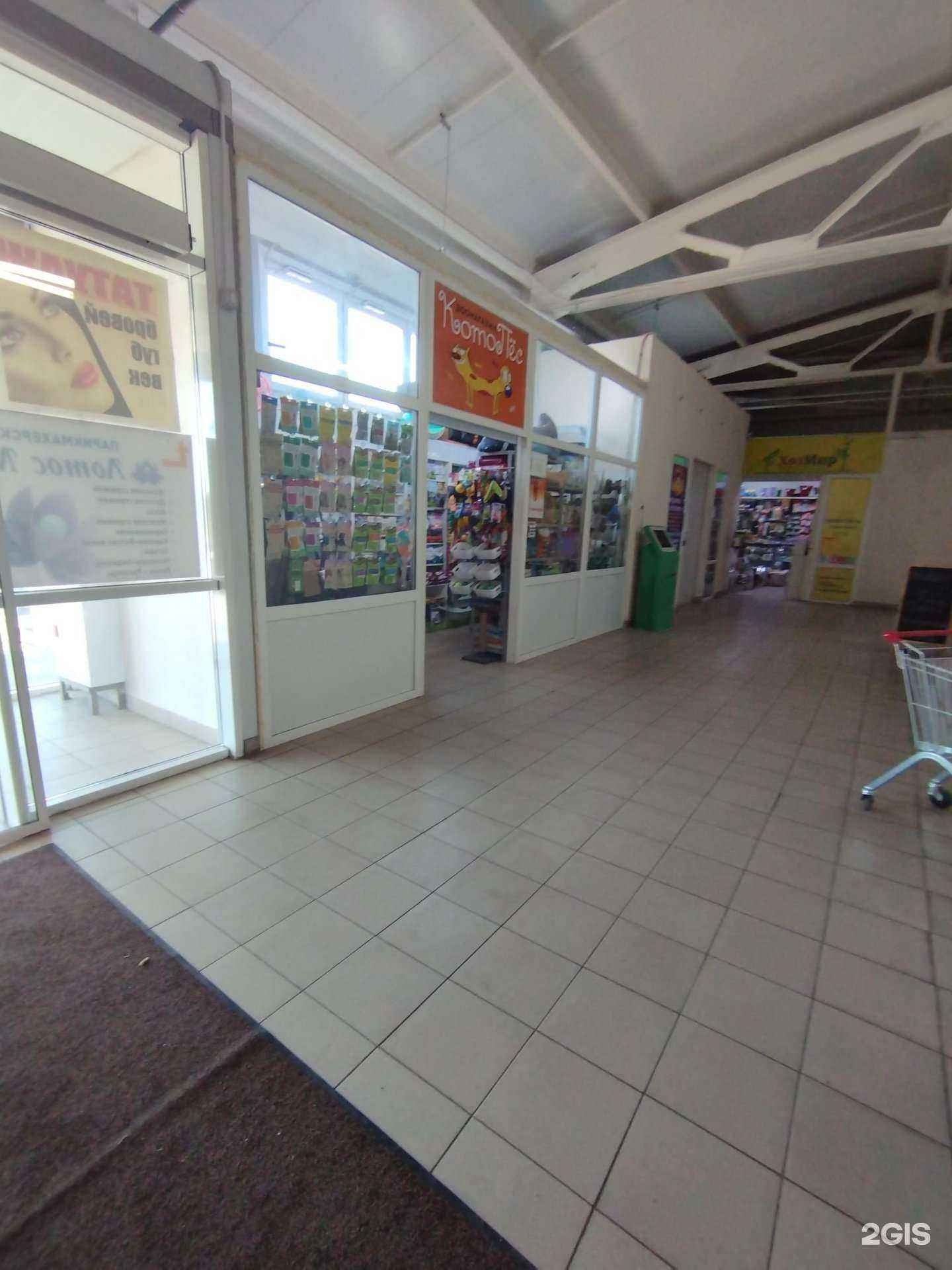 Отзывы на компанию Котопес в г. Ростов-на-Дону c фото