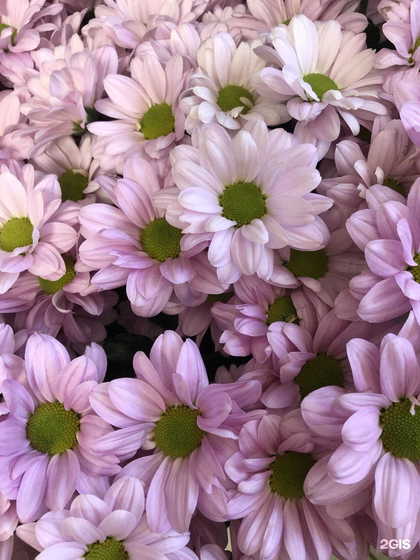 Отзывы на компанию Букетик в Всеволожске c фото