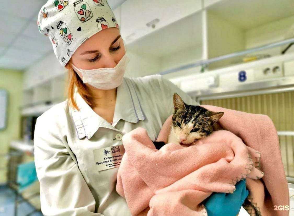 Отзывы на компанию Барк в г. Архангельск c фото