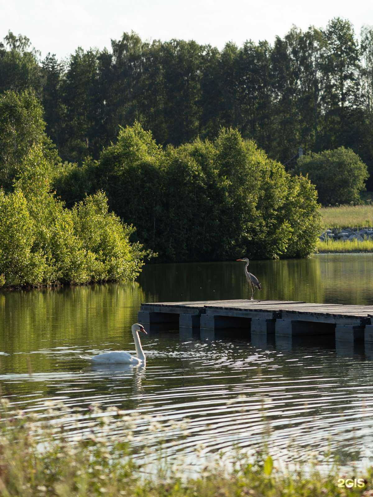 Отзывы на компанию Князевское в г. Первоуральск c фото
