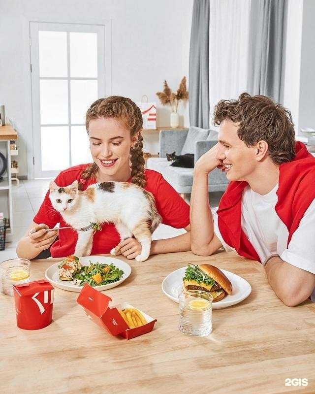 Отзывы на компанию Мурлыка в г. Балашиха c фото