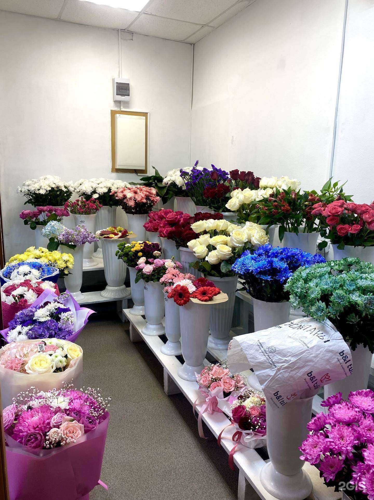 Отзывы на компанию Романтик в Красноярске c фото