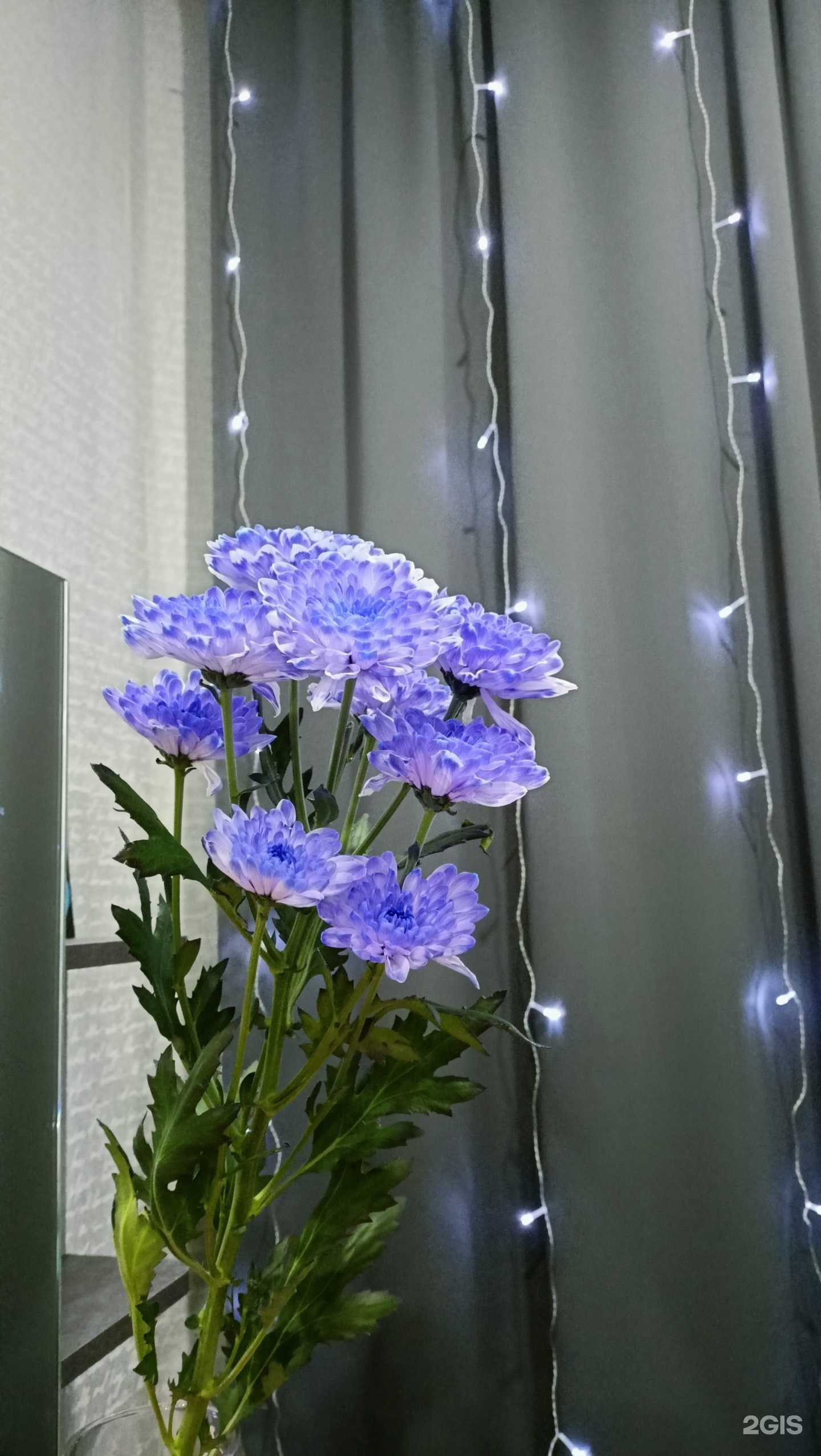 Отзывы на компанию Цве-то-та в Омске c фото