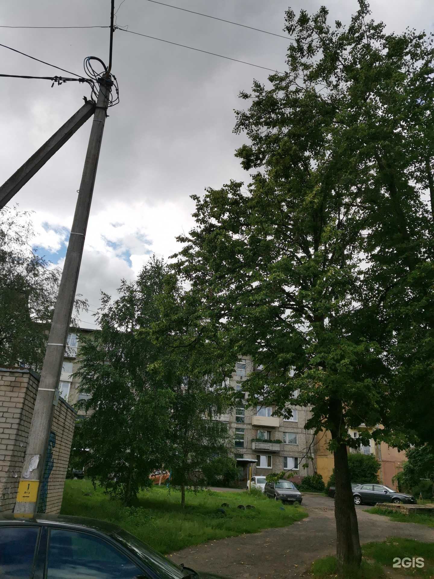 Отзывы на компанию Новые двери в Советске c фото - фотография 2 из 2