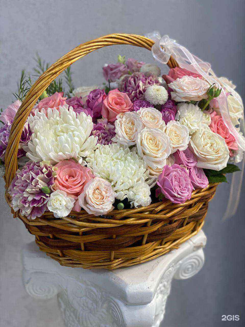 Отзывы на компанию Melissa в Чите c фото