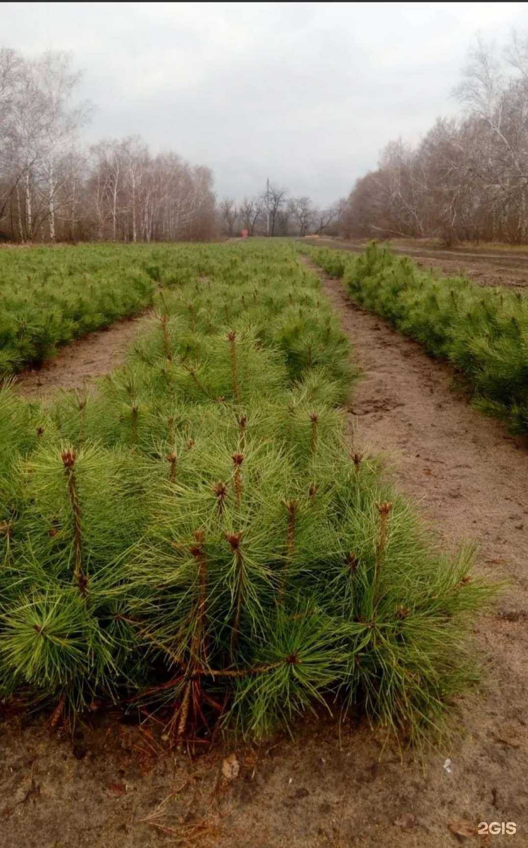 Отзывы на компанию ЛД Гера в Ростове-на-Дону c фото