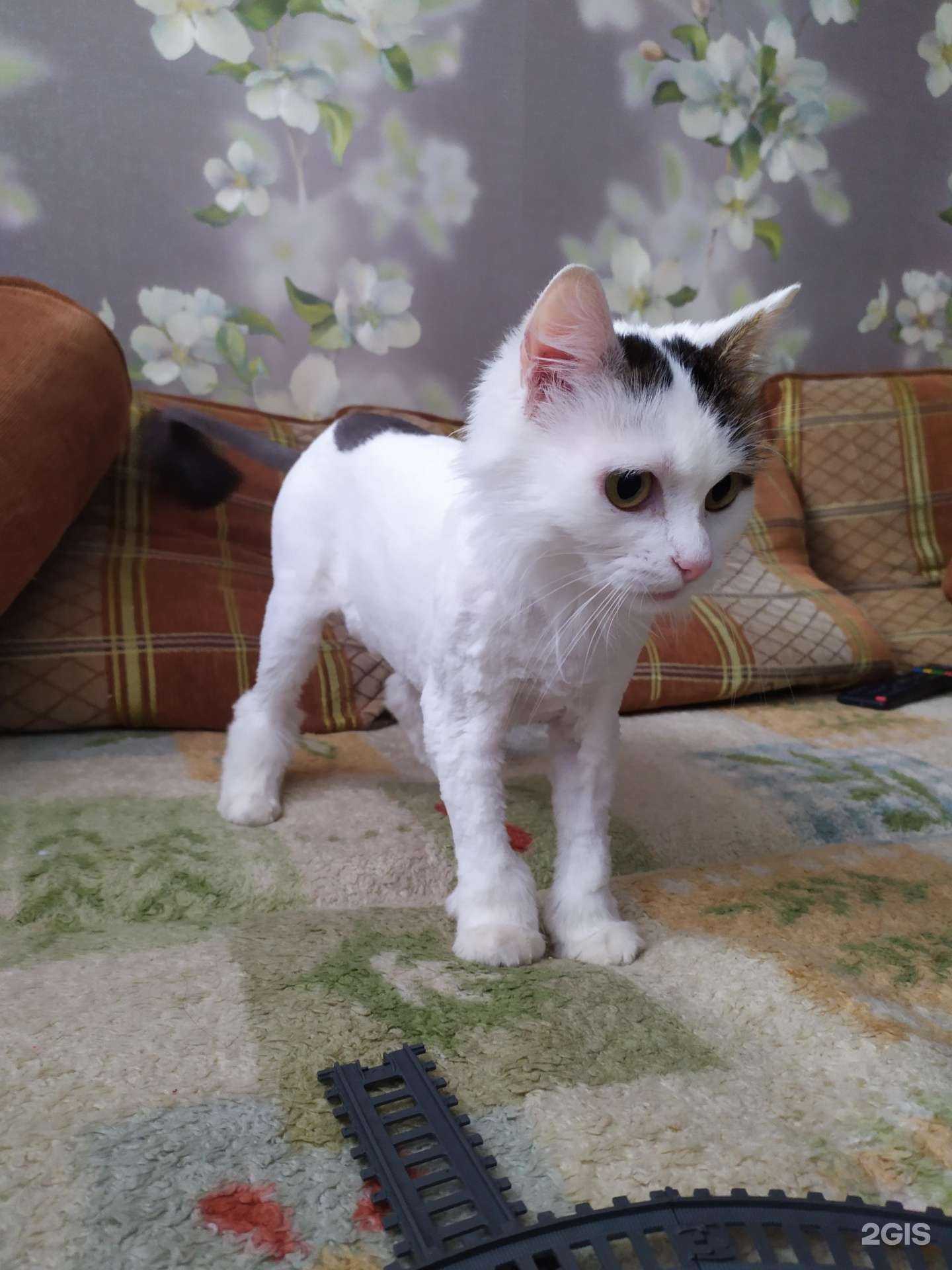 Отзывы на компанию Медея в г. Рязань c фото