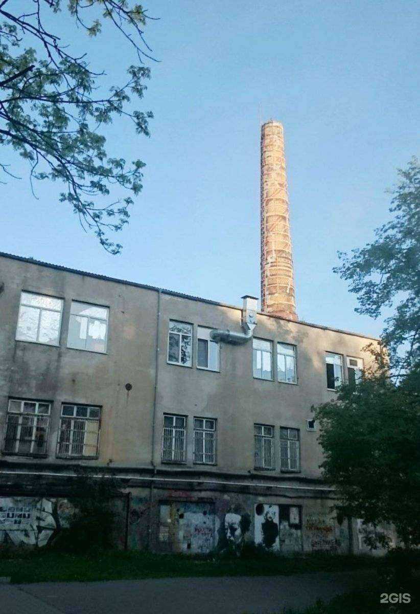 Отзывы на компанию Диджилайн в Калининграде c фото