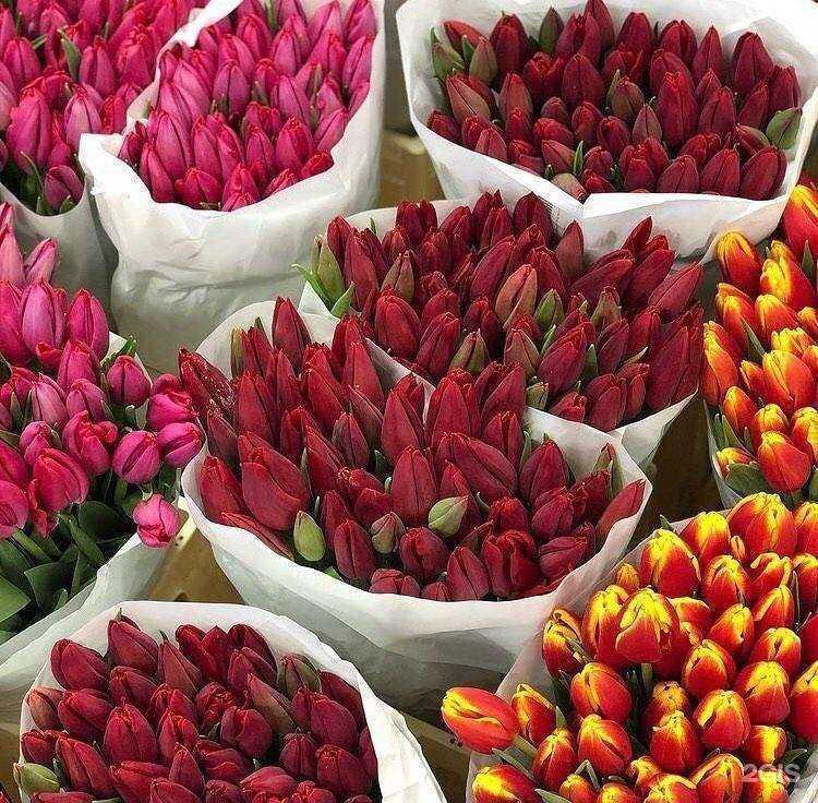 Отзывы на компанию Лаванда в Волгодонске c фото