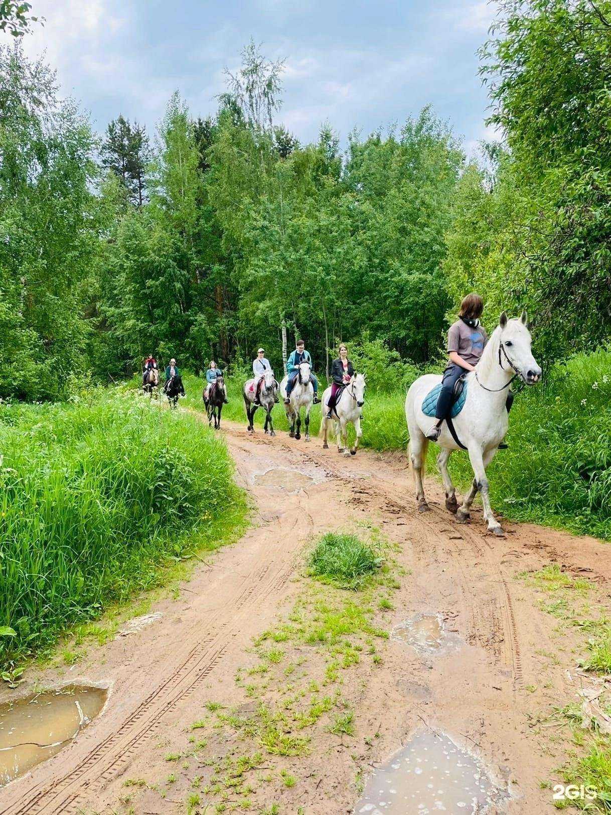 Отзывы на компанию Кони в яблоках в Кимрах c фото