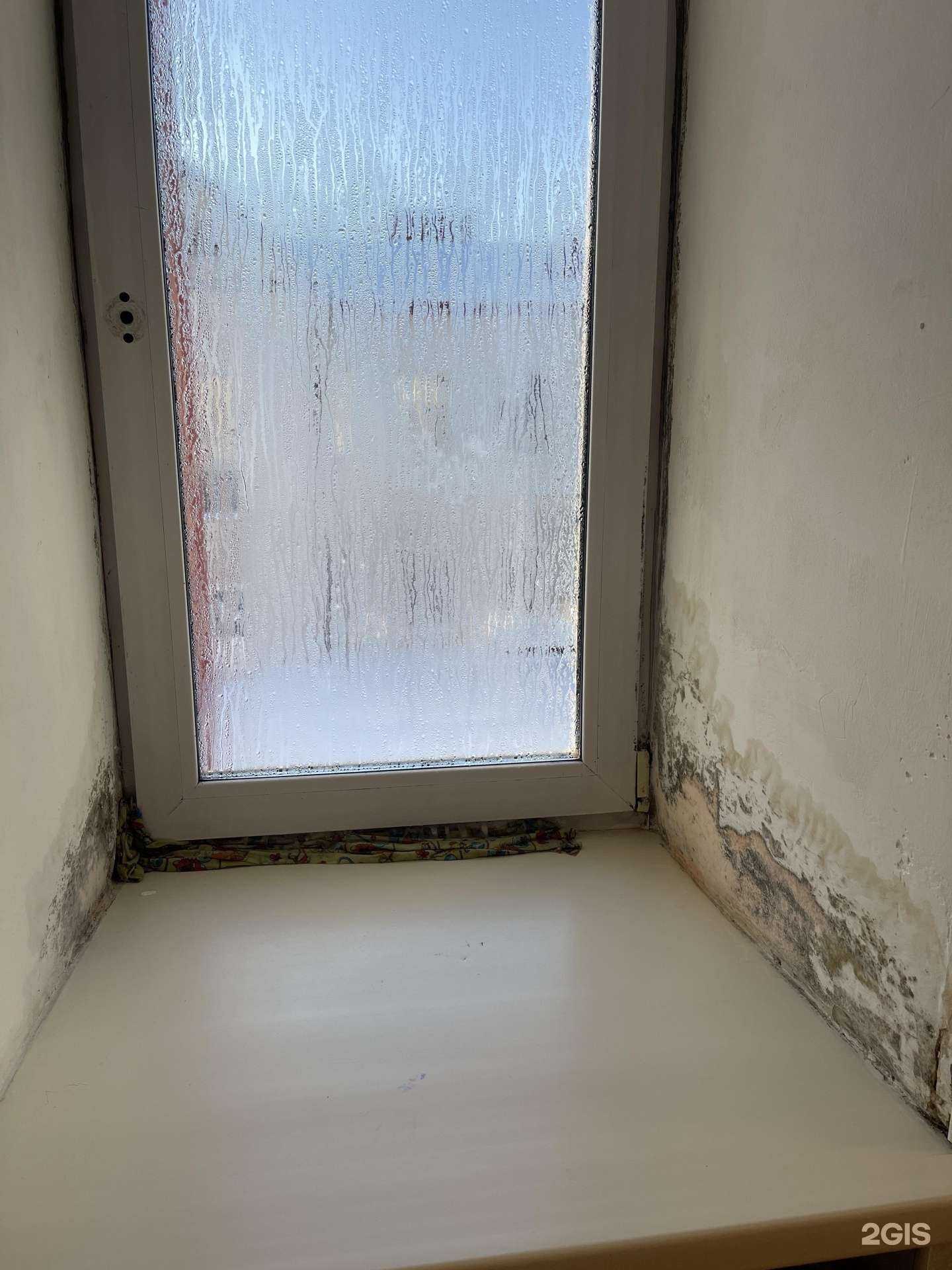 Отзывы на компанию Детская городская больница №2 в г. Томск c фото