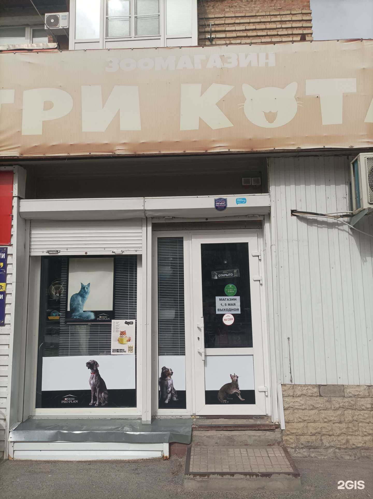 Отзывы на компанию Три кота в Волгодонске c фото