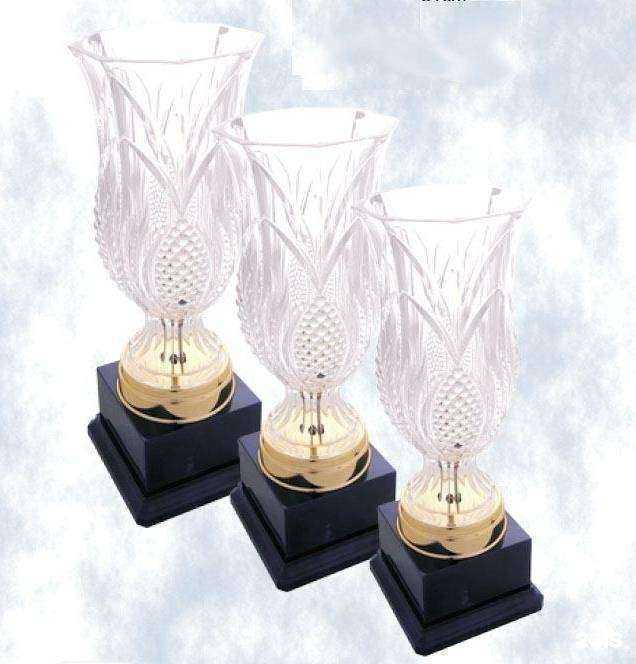 Отзывы на компанию ЛазерЛюкс в г. Воронеж c фото