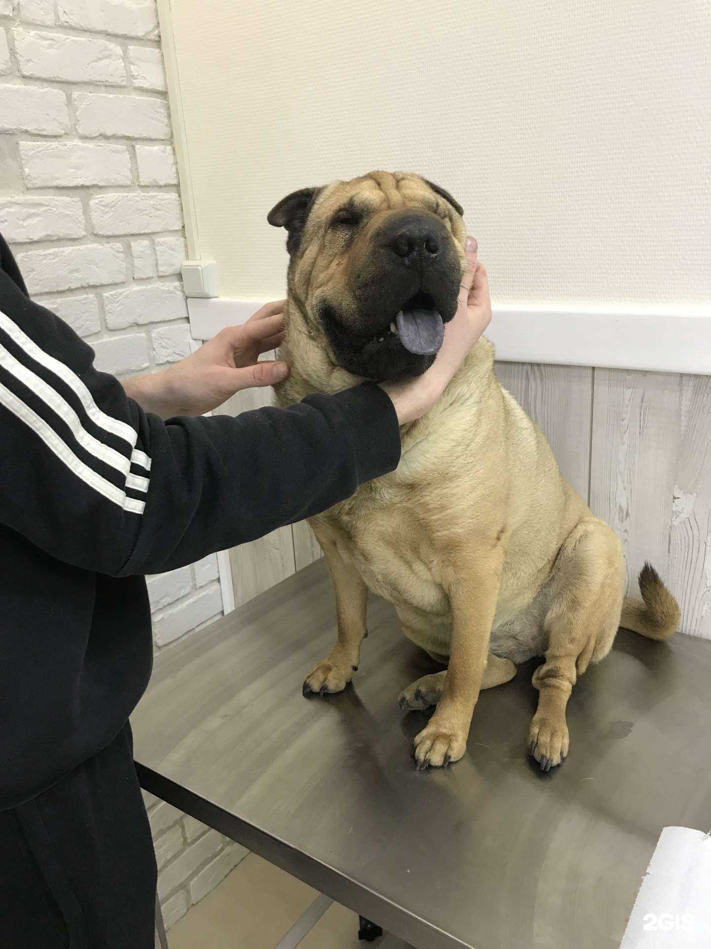 Отзывы на компанию Лаванда в Балашихе c фото