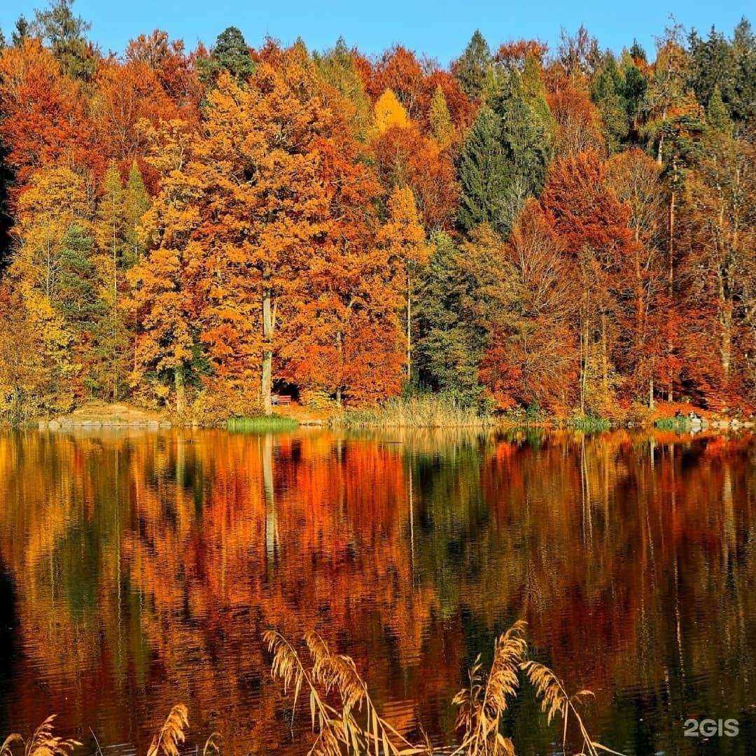 Отзывы на компанию Академик в Орле c фото