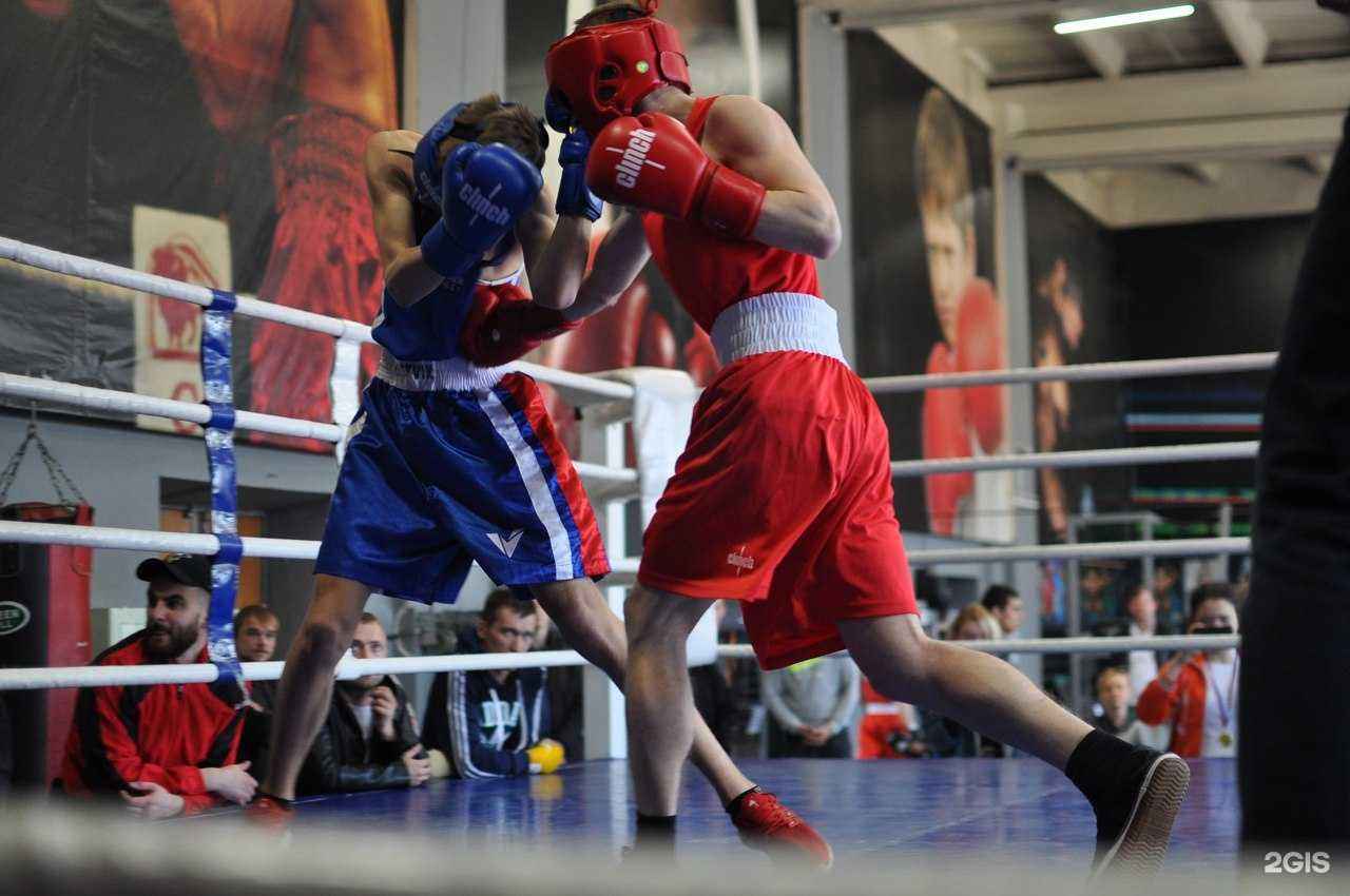 Отзывы на компанию Golden Fighter в Нижнем Новгороде c фото