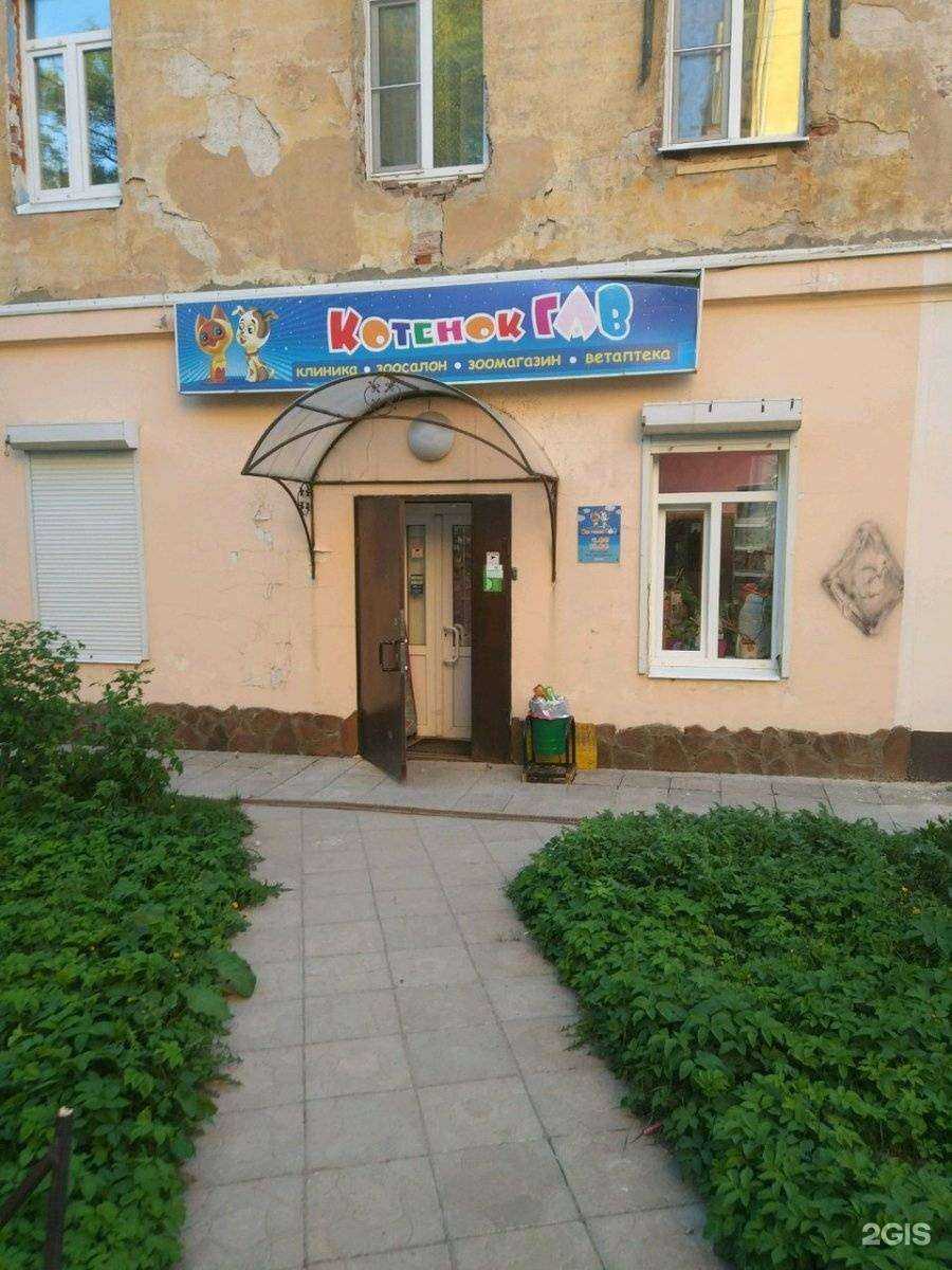 Отзывы на компанию Котенок Гав в г. Калуга c фото