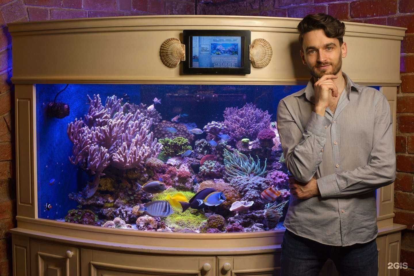 Отзывы на компанию Компания по проектированию и установке морских аквариумов в г. Томск c фото