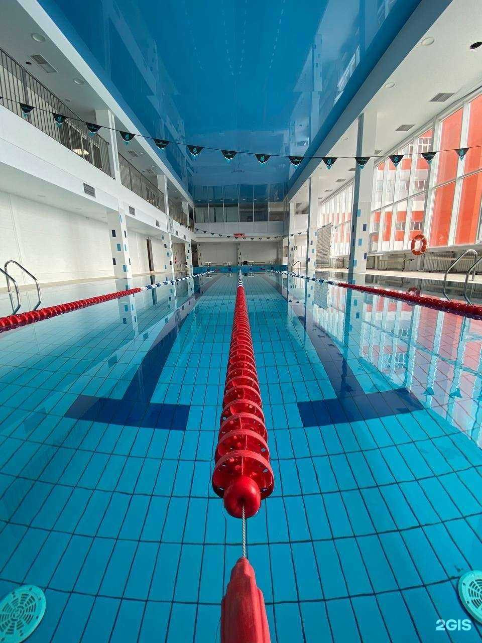 Отзывы на компанию Новосибирская Академия Плавания в Новосибирске c фото