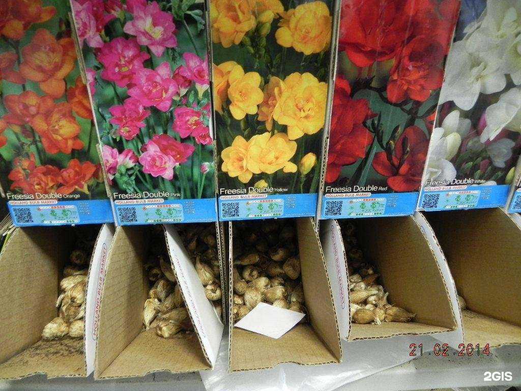 Отзывы на компанию РозМарин в Череповце c фото