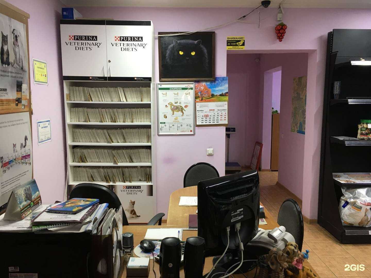 Отзывы на компанию Grand vet в г. Копейск c фото