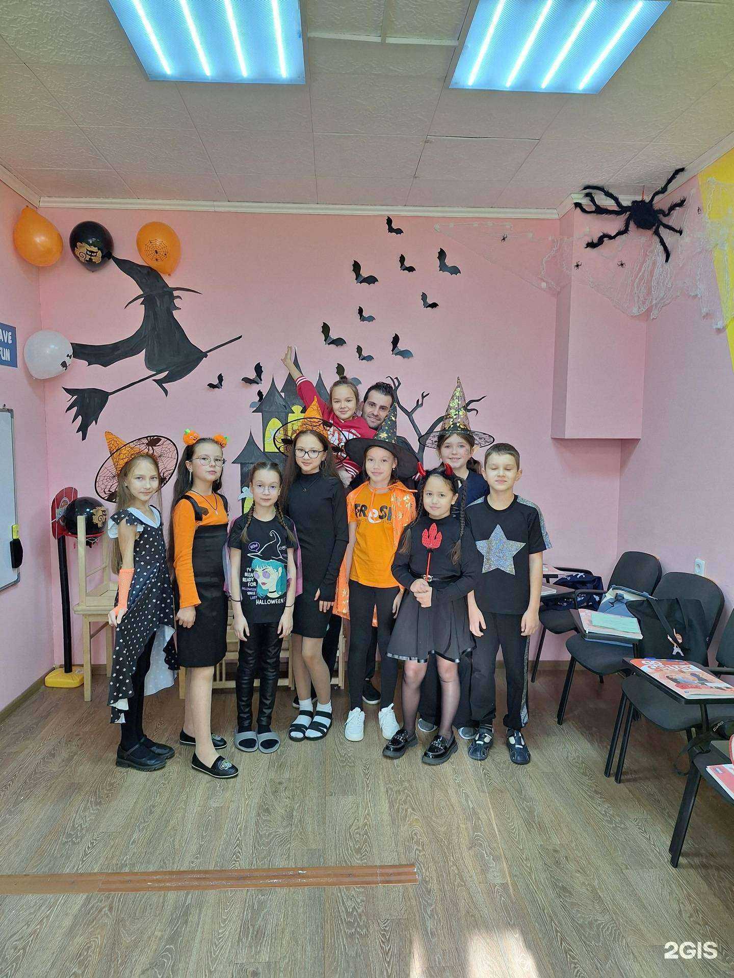 Отзывы на компанию Teddy в г. Чебоксары c фото