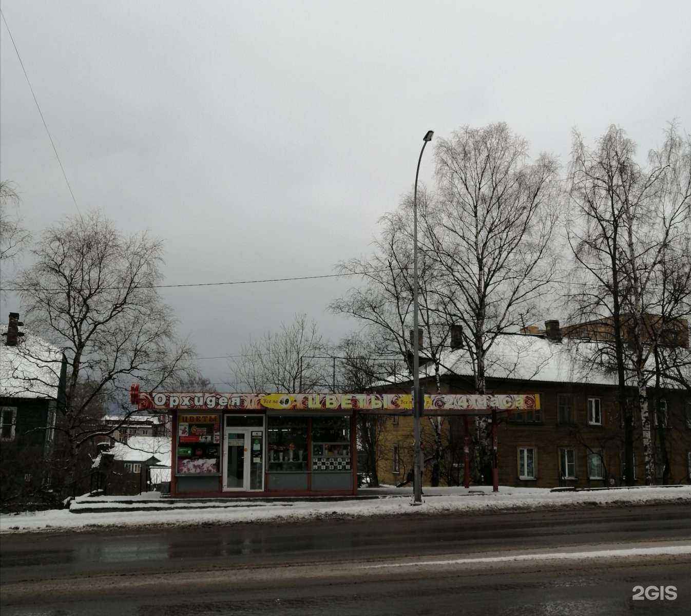 Отзывы на компанию Орхидея в Петрозаводске c фото