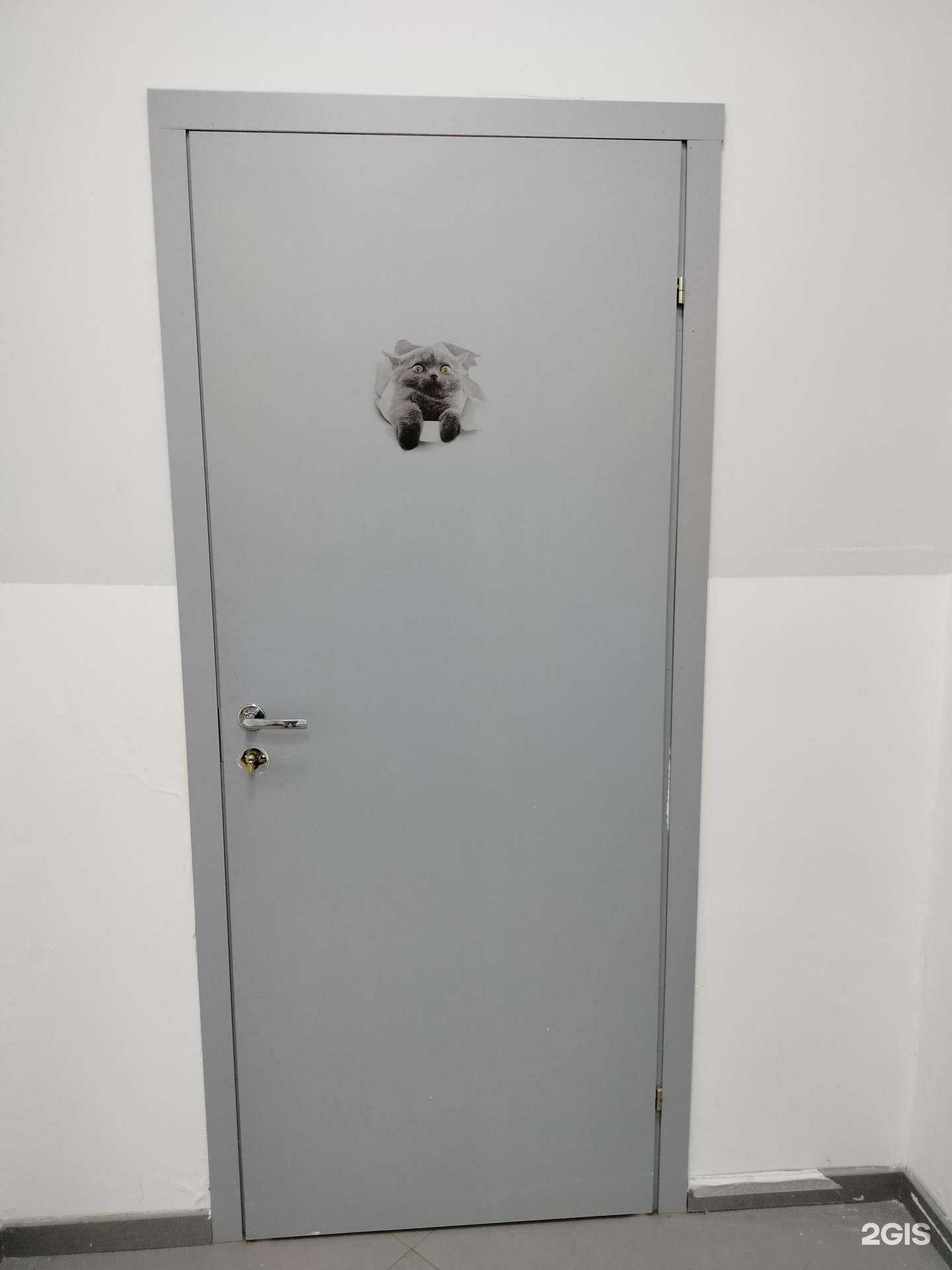 Отзывы на компанию Зоомагия в г. Лобня c фото