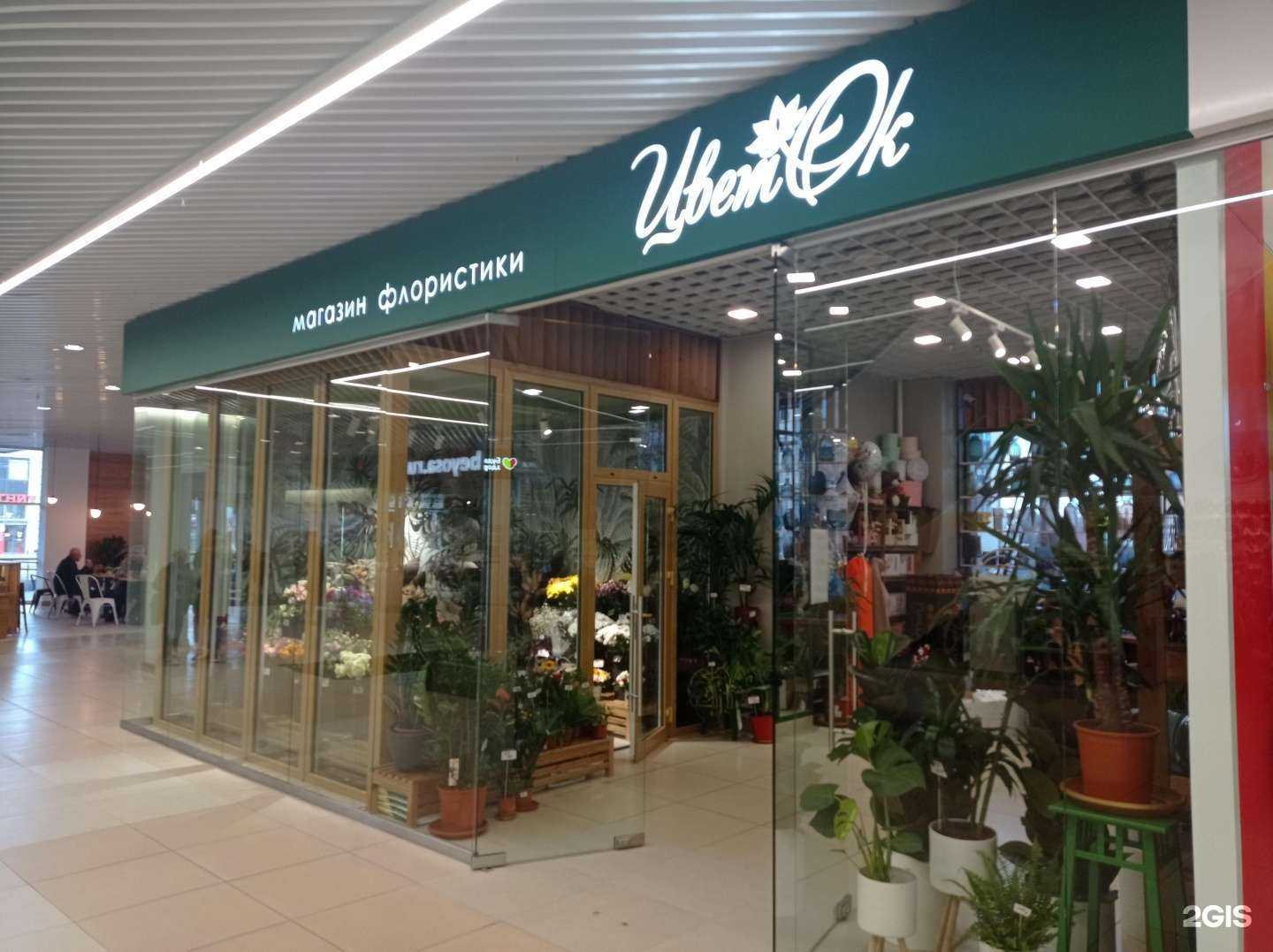 Отзывы на компанию Цвет`ok в Петрозаводске c фото