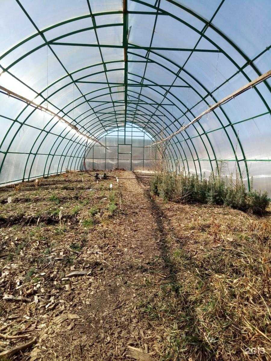 Отзывы на компанию Екатеринбургское лесничество в Екатеринбурге c фото