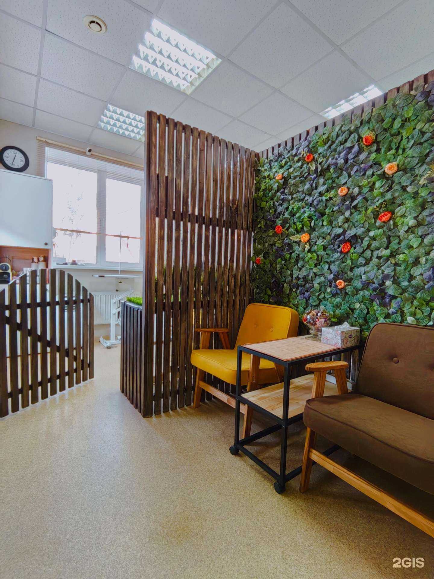 Отзывы на компанию Салон груминга в г. Щёлково c фото