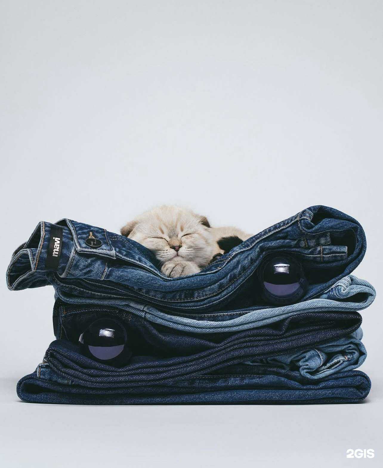 Отзывы на компанию Mavi в Хабаровске c фото